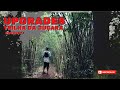 Upgrades TRILHA DA JUÇARA [ Início e duplos finais adicionados ]