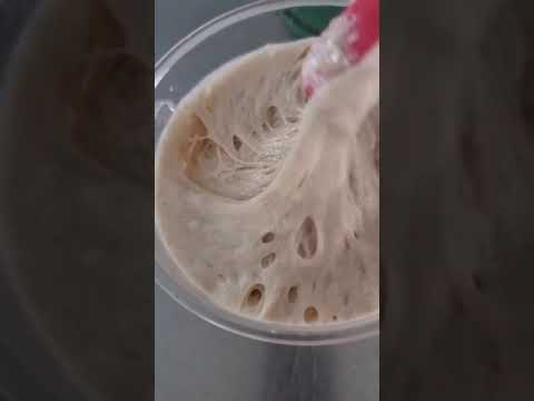كيف اعرف خميرتي جاهزه
