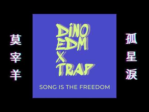 莫宰羊  孤星淚 ft Karencici (DINO EDM X TRAP)