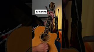 6 or 12 string? Your pick...