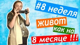 видео 6 неделя беременности - все о беременности и родах, шестая неделя беременности