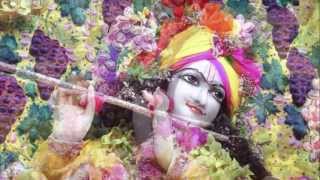 The best of Sri Sri Radha Gopinath - Deity Darshan Slide Show 01