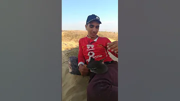 طائر عبد المرع الدكتور إسماعيل الصيد الصياد السيناوي 