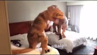 When You Get Your Hotel Room Key... - 942519