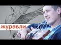 Роман Ширяев - Журавли (видеоклип)