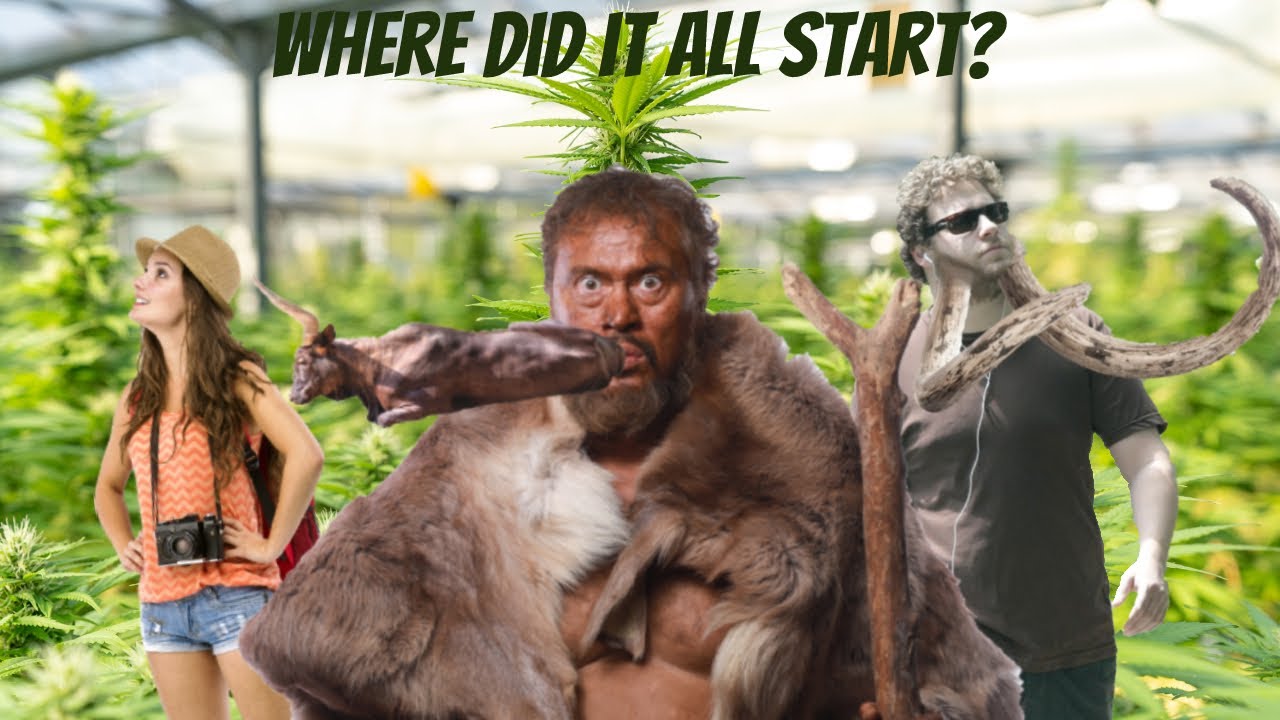 A History of Cannabis (Part 1)