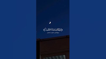 ومن يتق الله يجعل له مخرجا | القارئ #سعد_الغامدي