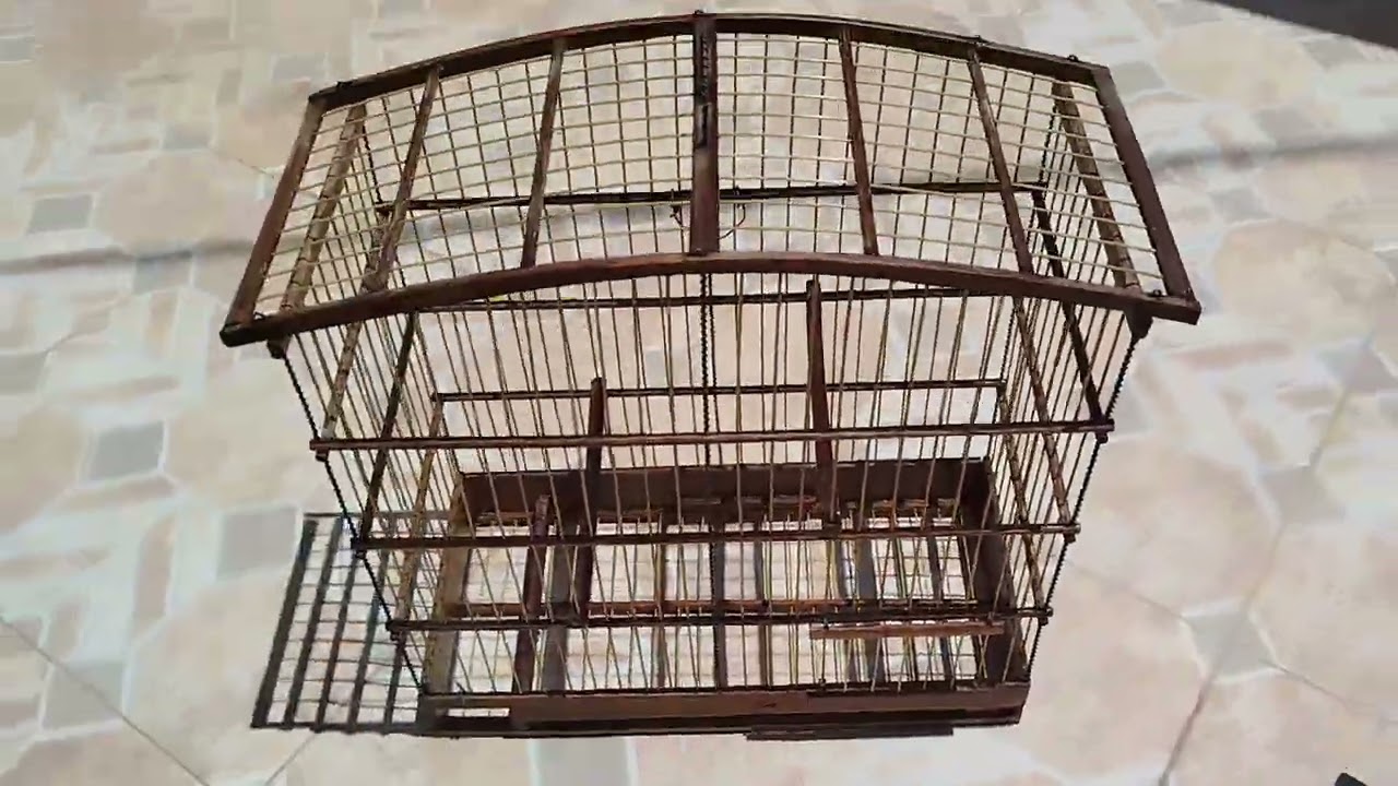 Restauração da gaiola # 2 parte 