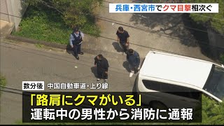 西宮市でクマ目撃情報２件　市道で「１頭歩いているのを見た」高速道路で「路肩にクマがいる」　同一個体の可能性（2026年6月13日）