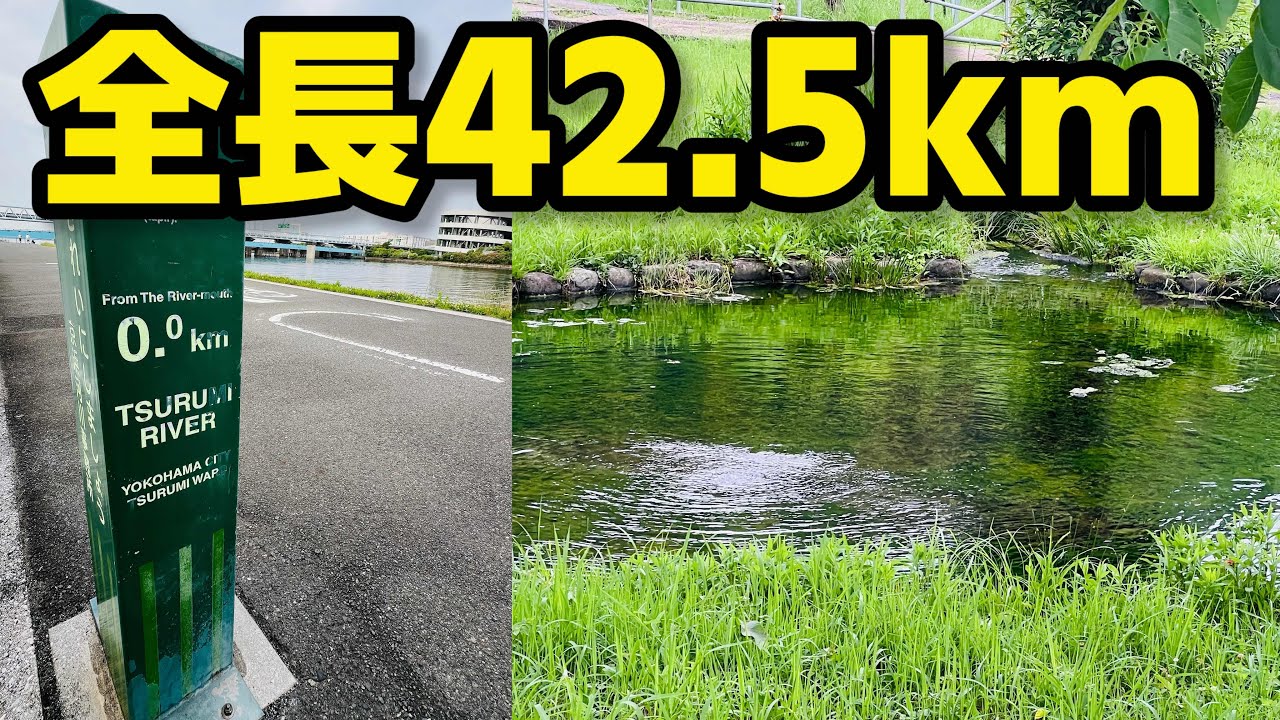 鶴見川を河口から源流まで歩いてみた