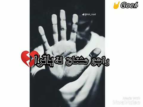 حالة وتس متفكرنيش باللى جرا الرحاء الاشتراك في القناة