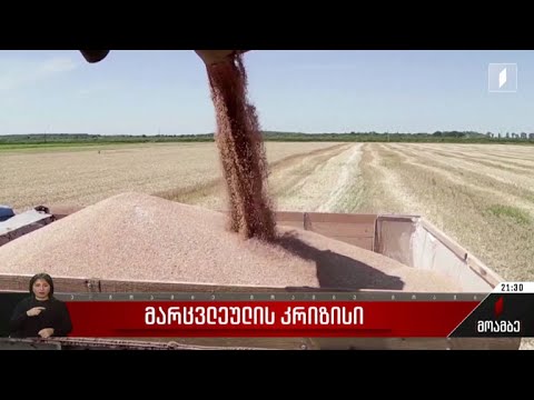 მარცვლეულის კრიზისი