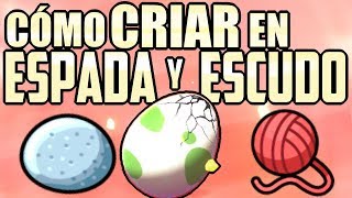 ¡Cómo CRIAR en Galar! | Guía de CRIANZA Pokémon ESPADA y ESCUDO