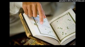 --  ( وَهُمْ يَصْطَرِخُونَ فيها) مقطع رائع من سورة فاطر --