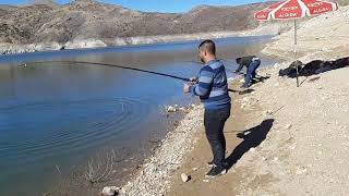صيد السمك الكرب في تركيا