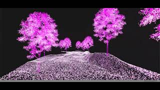 Unity VFX Graph - Forestroad