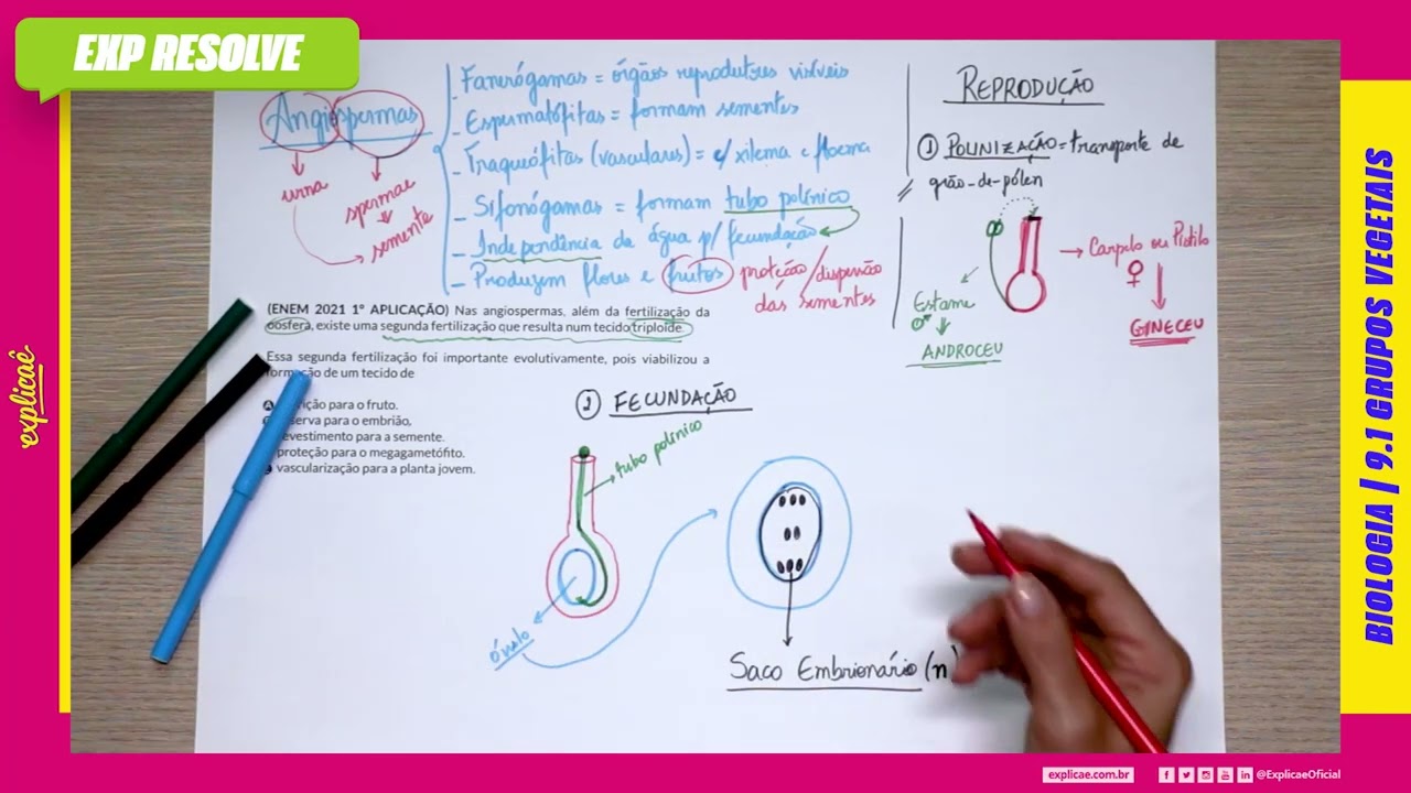 NAS ANGIOSPERMAS, ALÉM DA FERTILIZAÇÃO DA OOSFERA, EXISTE UMA SEGUNDA(...) | GRUPOS VEGETAIS