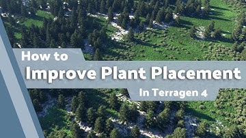Terragen 4 Basics: Improving Plant Placement