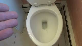 Download Lagu OLD LADY COMPLAINING OF A PERFECTLY FLUSHING TOILET MP3