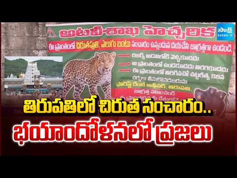 తిరుపతి లో చిరుత సంచారం.. భయాందోళనలో ప్రజలు | Leopard Hulchul At Tirupathi | Sakshi Tv - SAKSHITV