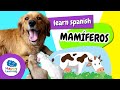 Learn Spanish: Mammals | Educational Videos for Children | @HappyLearningENG