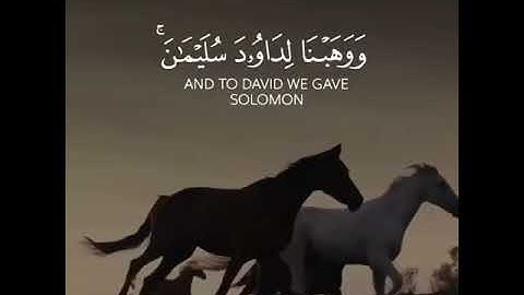 آيات من #سورة_ص للقارئ المبدع #إسلام_صبحي 🌷❤