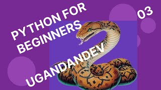 Expressions, Operators and Arithmetic in Python