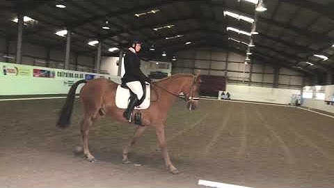 Intro A Dressage Test - 75.22%