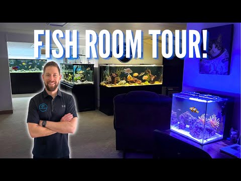 2,850 Gallons, 187 Fish, 11 Aquariums, 1 Pond - Complete Fish Room Tour!