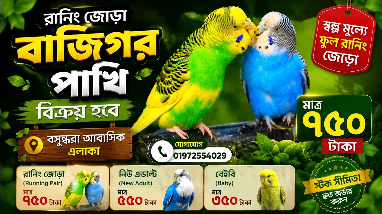রানিং বাজিগর সরাসরি খামার