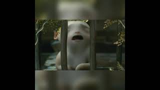 Download Lagu #Wuba Crying 😭😭😭 MP3