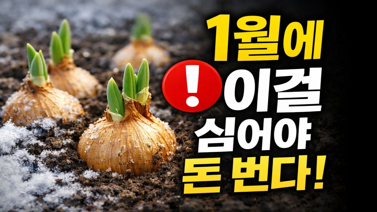1월에 '이것' 심으면 1년 식비가 굳습니다 | 텃밭 고수들의 비밀 작물 18가지