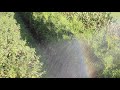 Успокающивае видео: полив грядки радугой
