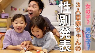 性別発表 リアクション神 パパと姉妹にサプライズ報告 3人目 Youtube