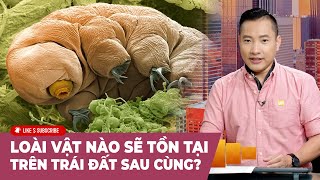 Cà Phê Sáng Cuối Tuần P1 (05-18-24) Loài vật nào sẽ tồn tại trên Trái Đất sau cùng?