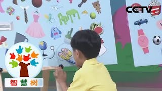 《智慧树》 宝贝2+1:找物品闯关 20191108 | CCTV少儿