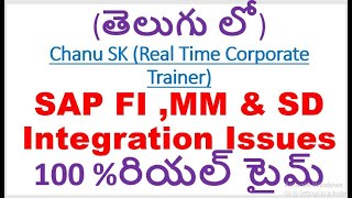 Celebrity Real Time SAP FICO ,MM & SD Integration Training- SAP FICO in Telugu-SAP FICO Course in Telugu Profile