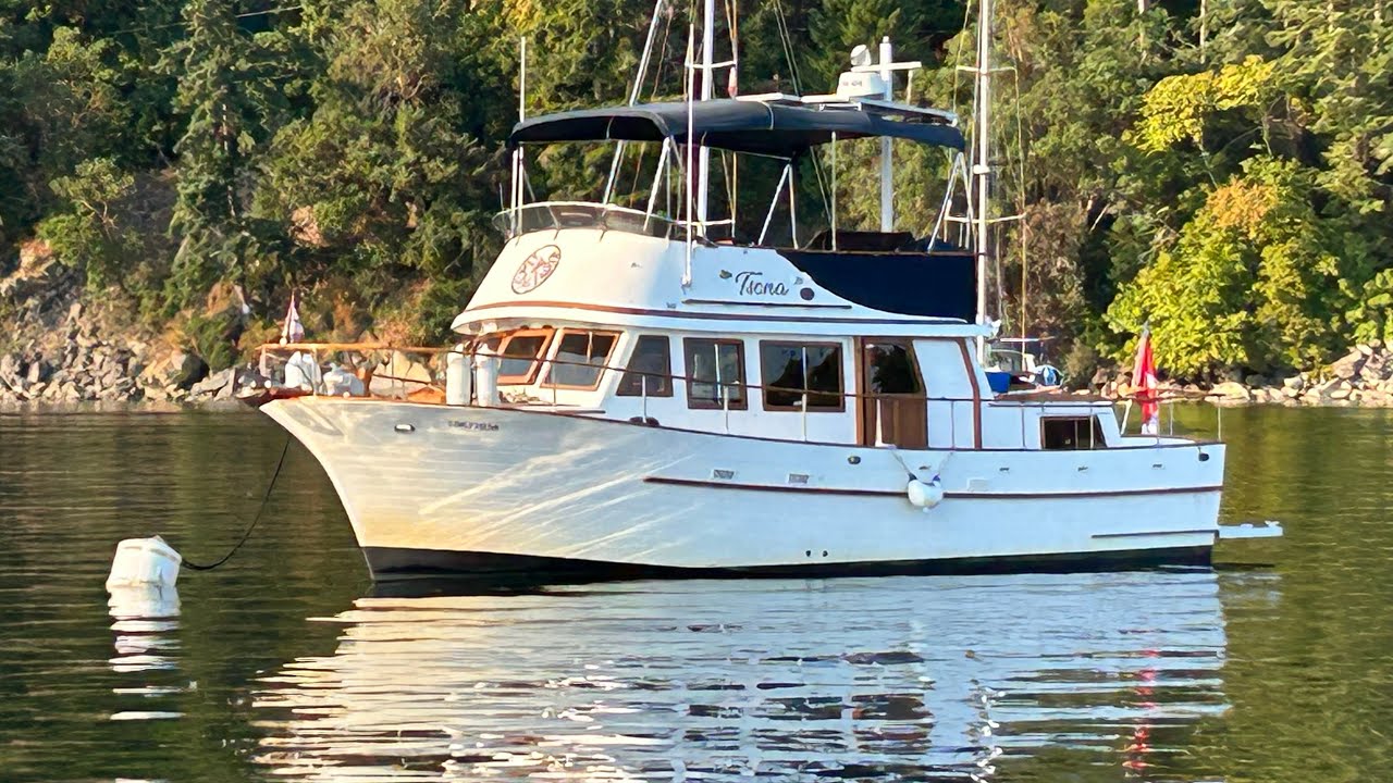 Cruising August 2025