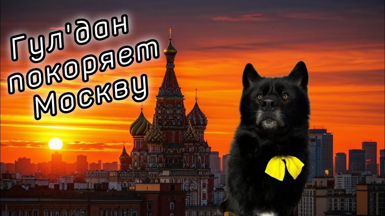 Волкособ Гул'дан покоряет Москву. Гул’данчик на Первом канале 1???? ...