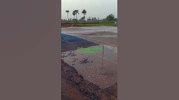 fish pond bird net