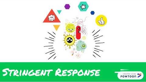 Stringent Response