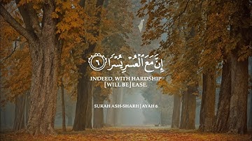 أرح سمعك.. تلاوة هادئة تريح القلب والعقل❤️😴 | ساعة كاملة🕛🎧 القارئ هيثم الدخين | Haitham Al-Dokhin
