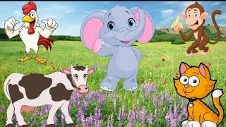 learn animal sounds finger family animals cow, monkey, pig, dog, cat, horse, elephant #14