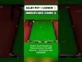 Even Selby Couldn't Believe This One – Unreal Pot Followed by a Perfect Cannon! 😲