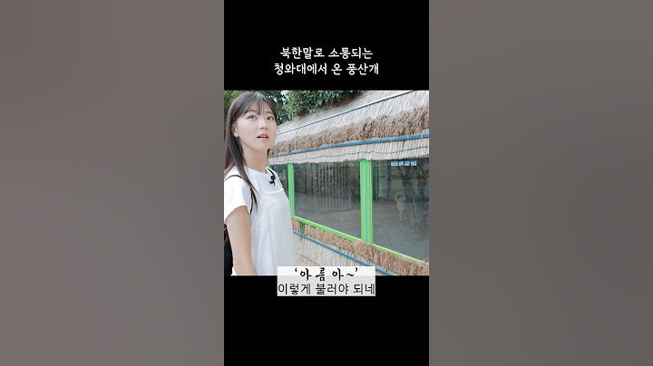 북한말로 불러야 알아듣는 강아지