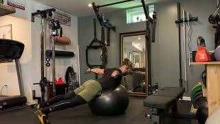 Stability Ball Reverse Fly