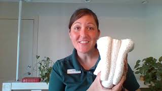 Zero Waste Mini-Series: Costs & COVID-19