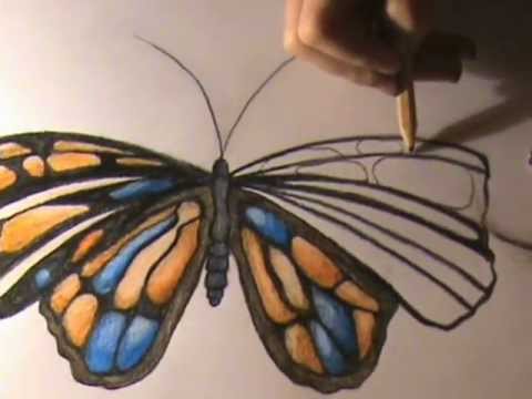 Desen Fluture Drawing A Butterfly Youtube