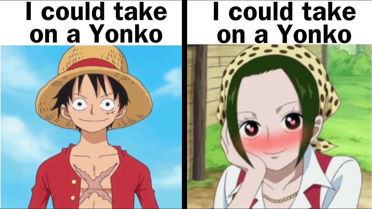 Eu racho com esse Luffy calvo pqp KKKKKKKK  One piece funny, One piece  meme, Bleach funny