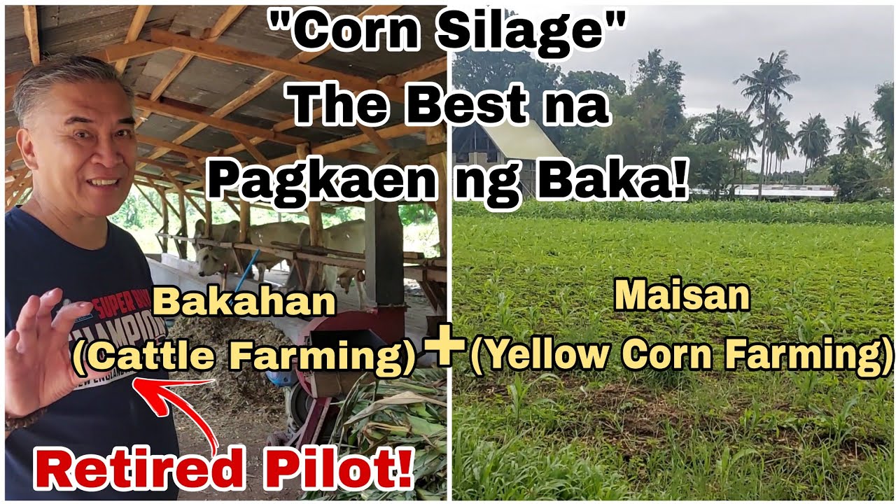 Retired Pilot, Nahanap ang 